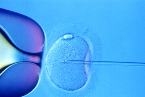 Científicos chinos “editan” el genoma de embriones humanos