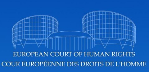 Importante fallo de la Corte Europea de Derechos Humanos contra la maternidad subrogada