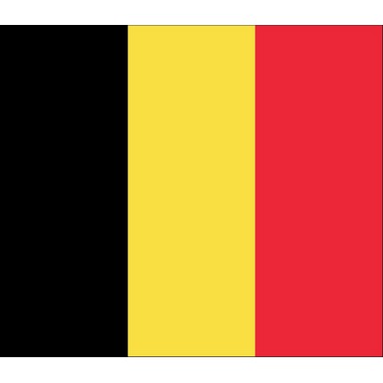 Leyes de Eutanasia en Bélgica y Países Bajos: su análisis